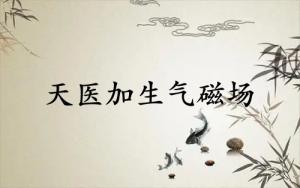 天醫(yī)加生氣磁場(chǎng)組合能量分析