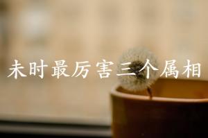 未時最厲害三個屬相