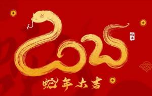 2025年是屬什么年生肖屬相