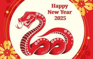 77年屬蛇2025年運勢如何