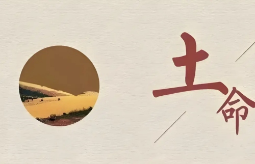 土命有哪幾種類(lèi)型