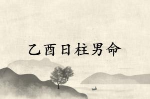 乙酉日柱男命2025年運(yùn)勢(shì)