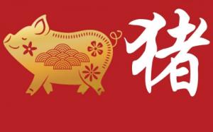 屬豬相克相沖的屬相有哪些