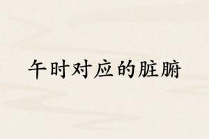 午時和哪個臟腑對應