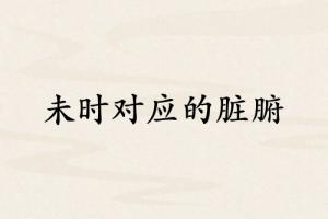 未時對應哪個臟腑