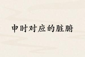 申時對應哪個臟腑