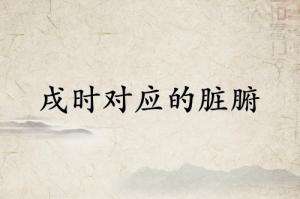 戌時對應什么臟腑