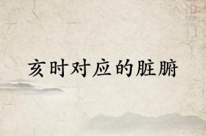 亥時是什么經絡當令