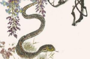 卜算子算命網(wǎng)