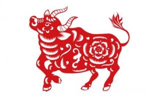 屬牛人的婚姻命運如何
