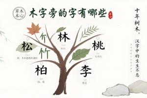 木字旁的字有哪些