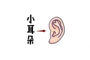 女人最命苦的五種耳朵