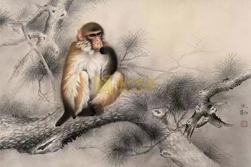屬猴男愛(ài)你入骨的表現(xiàn)