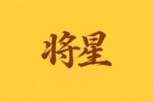 八字里將星是什么意思