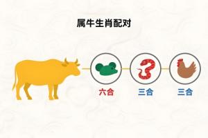 屬牛的三合和六個(gè)合生肖是什么