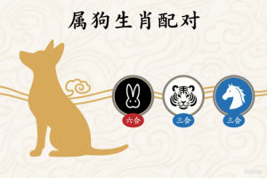 屬狗的三合和六個合生肖是什么