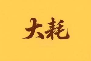 八字里大耗是什么意思